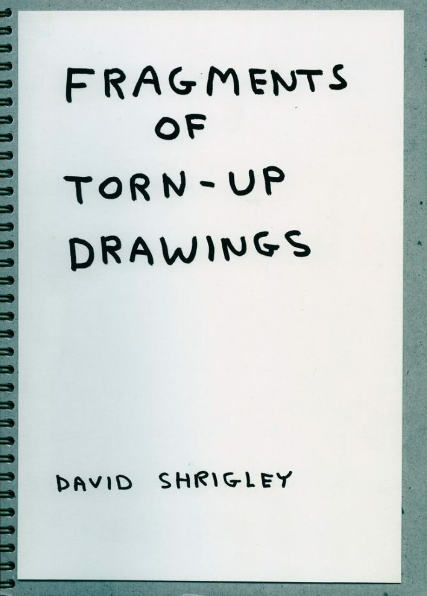 View: Fragments Of Torn Up Drawings