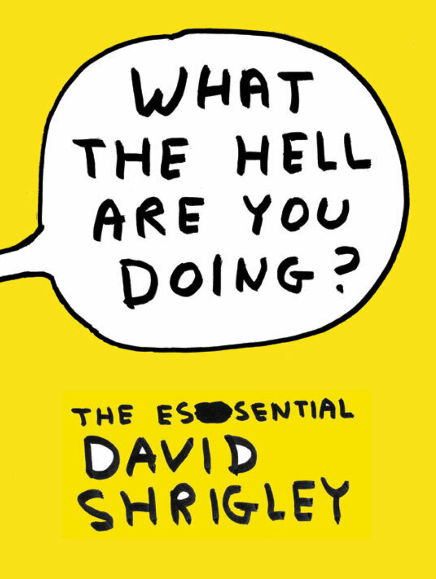 Books David Shrigley books-david-shrigley
