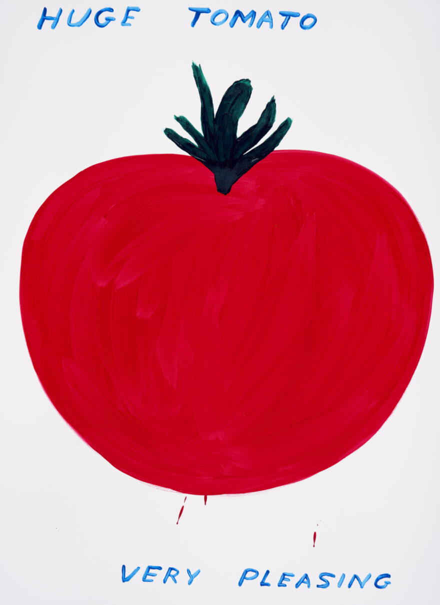 View: Untitled 'Huge Tomato'
