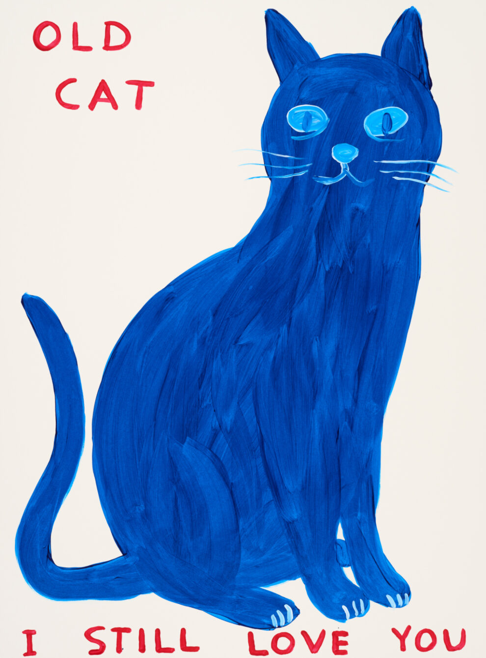 Untitled 'Old Cat' David Shrigley