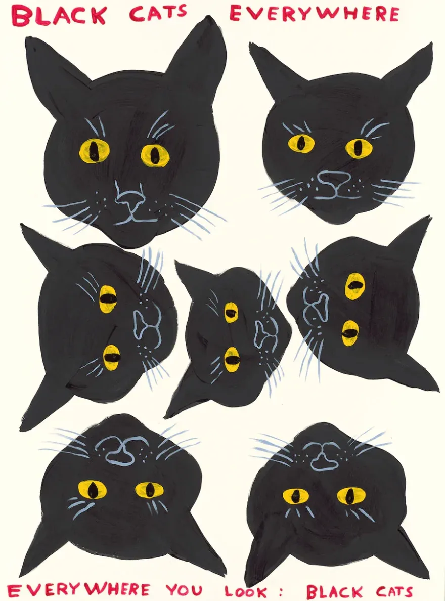 View: Black Cats Everywhere Everywhere You Look Black Cats