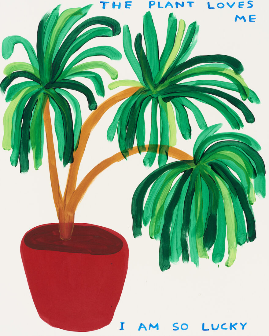 View: The Plant Loves Me